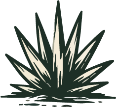 Blue agave